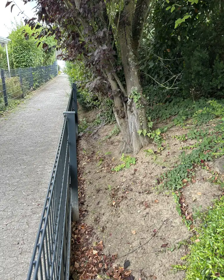 Beetfläche mit Laub und Wildkraut vor der Pflege